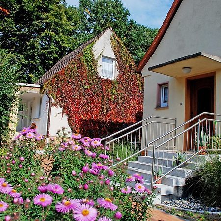 Ferienwohnungen Im Ostseebad Baabe Exteriör bild